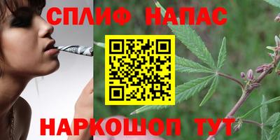 прущие грибы Железноводск