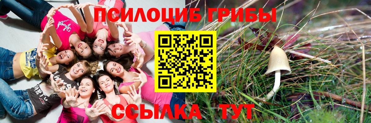 Галлюциногенные грибы Magic Shrooms Луга